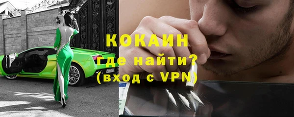 индика Верхний Тагил