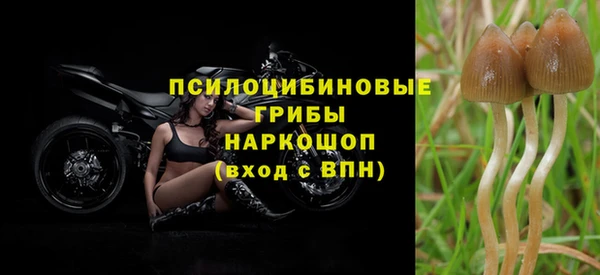 ешки Бронницы