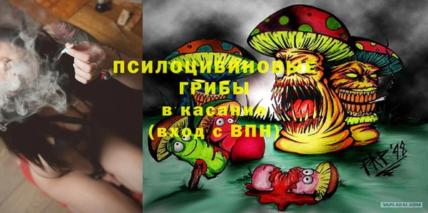 индика Верхний Тагил