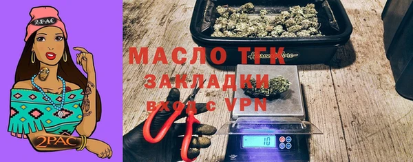 индика Верхний Тагил