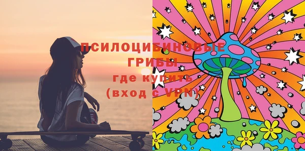 индика Верхний Тагил