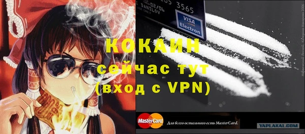 индика Верхний Тагил