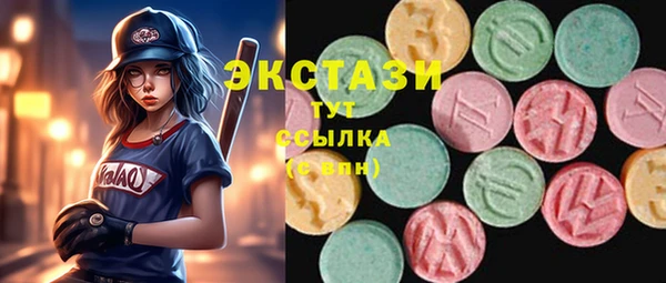 индика Верхний Тагил