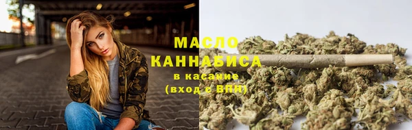 индика Верхний Тагил